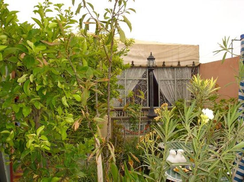 Belleville Marrakech