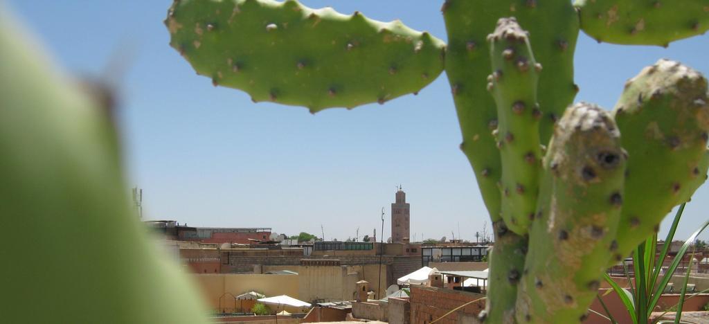 Douarskoll Marrakesh