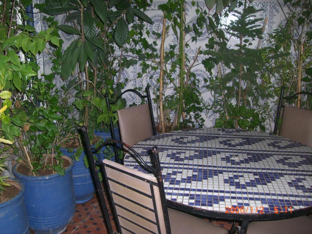Hostel Beautiful Dreams