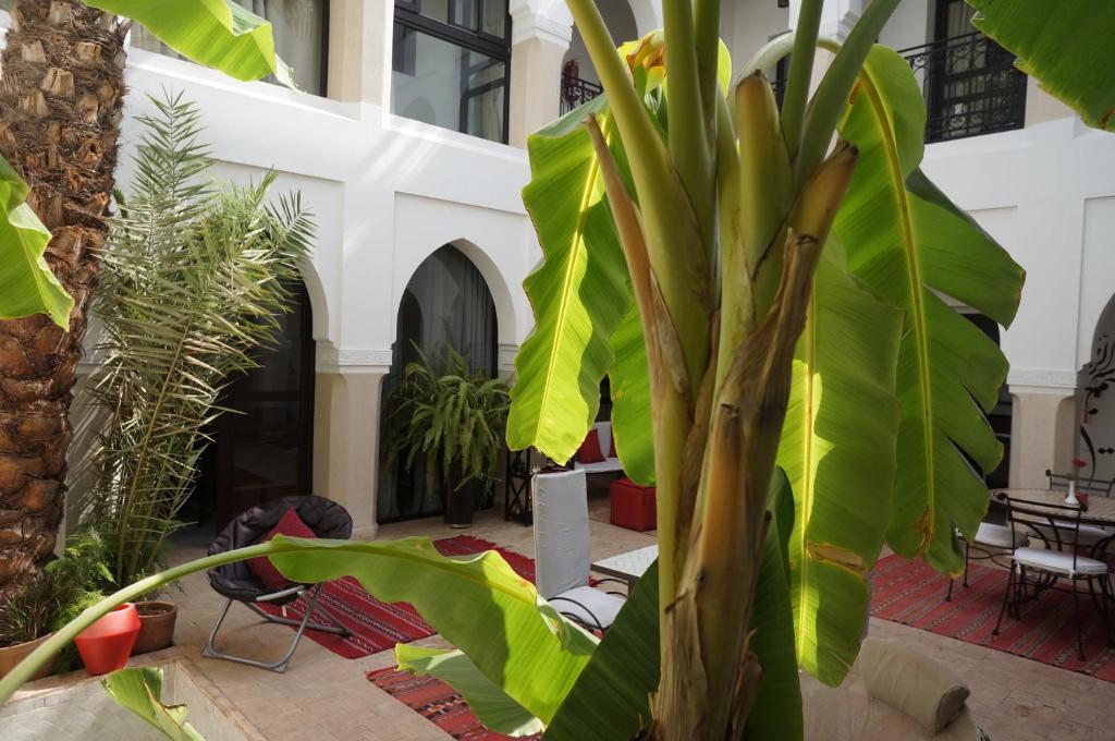 Shanima Marrakech Marraquexe