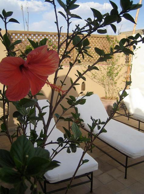 Elixir Riad 3*