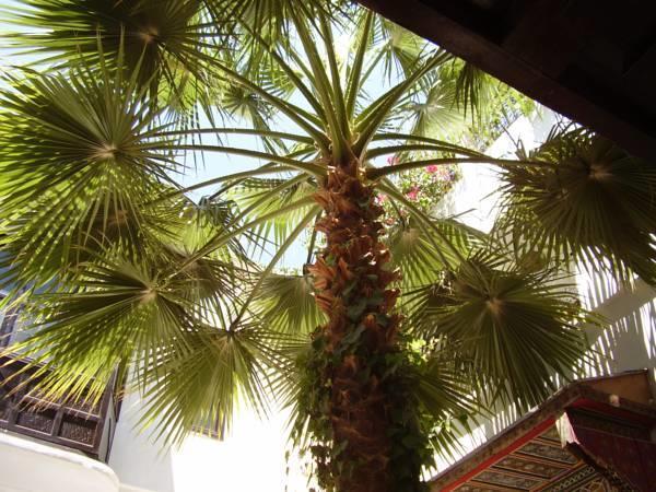 Riad Magie D'orient 2*