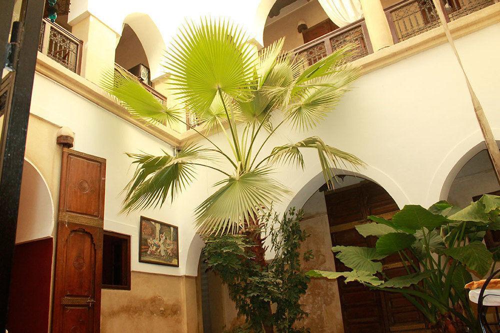 Dar Narjis Riad