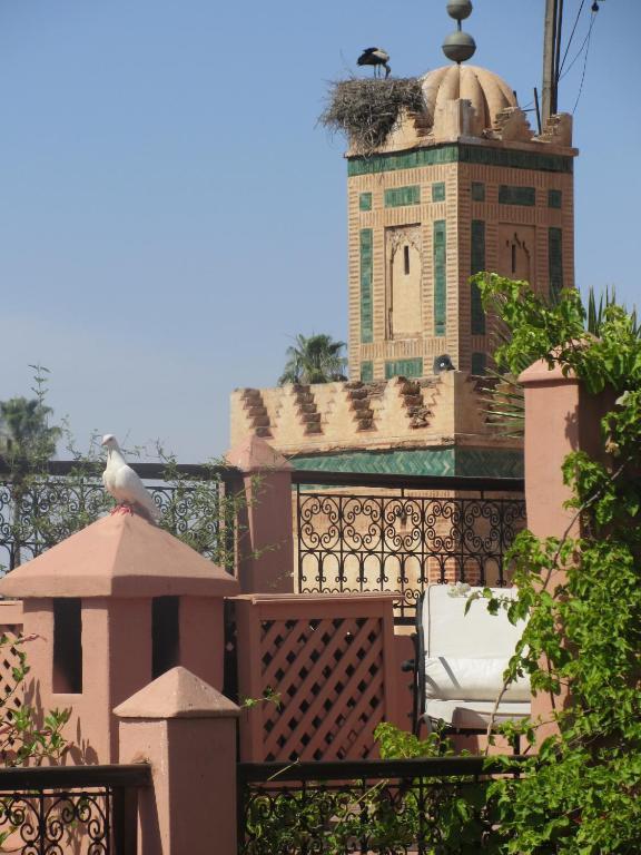 Marelia Marrakesh