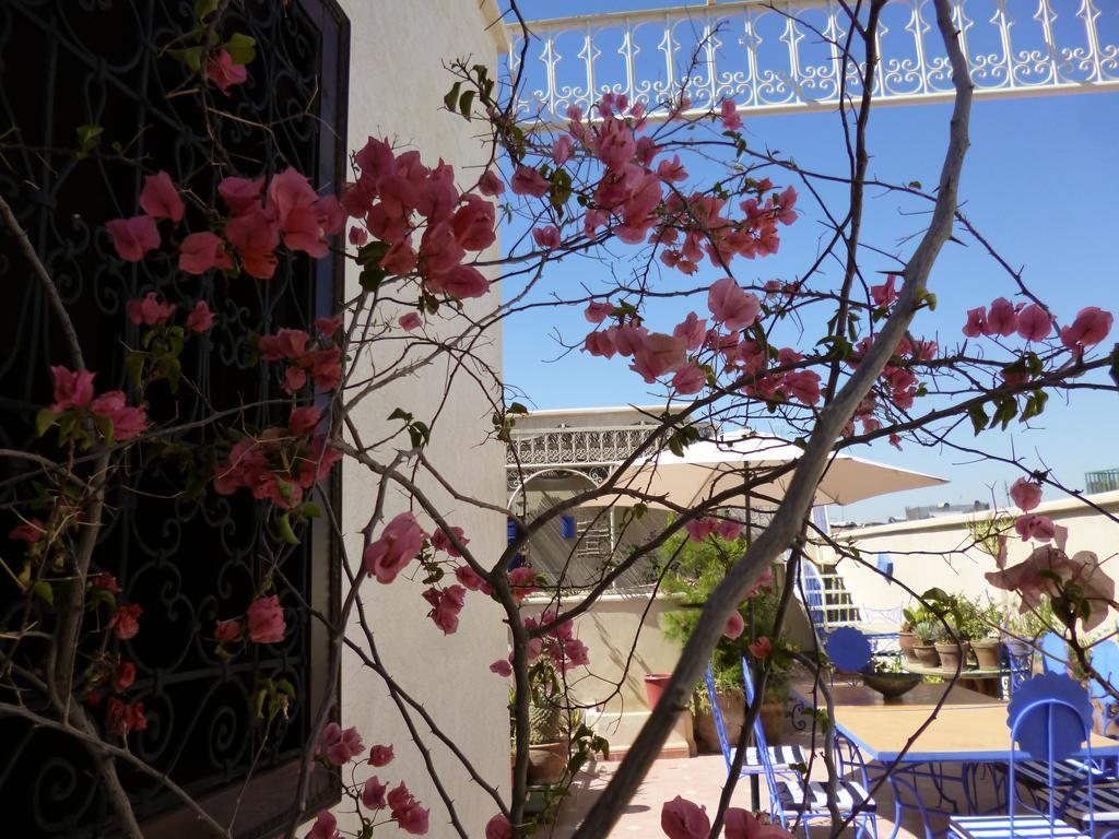 Guest house Dar En-nawat 3*