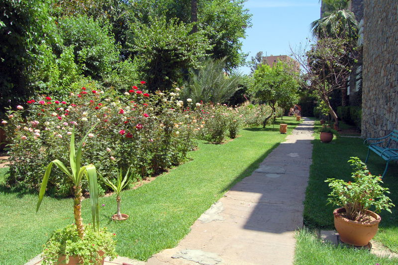 Hotel Amine 3*
