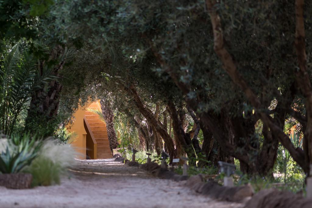 Guest house Jnane Tamsna Marrakesh