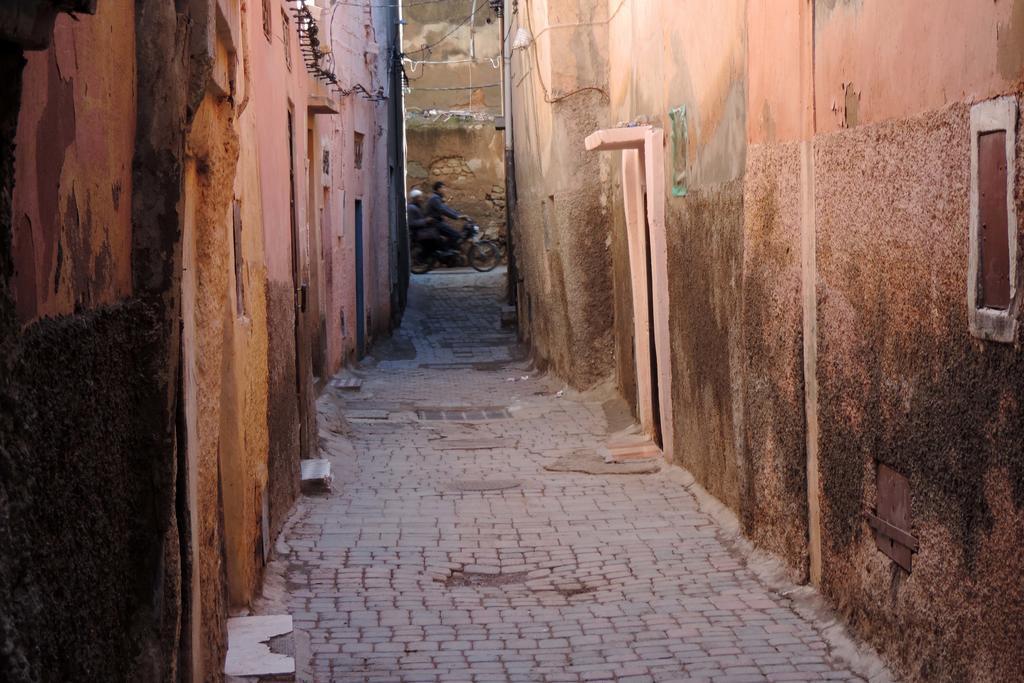 Dar Zampa