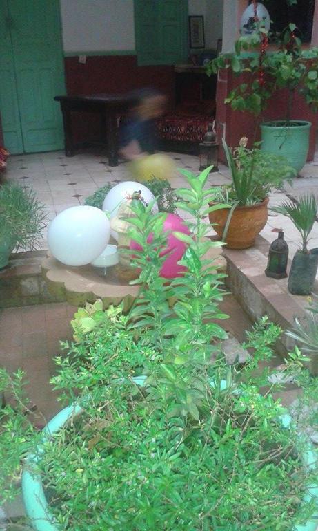 Riad Dar Moughita Marrakesh