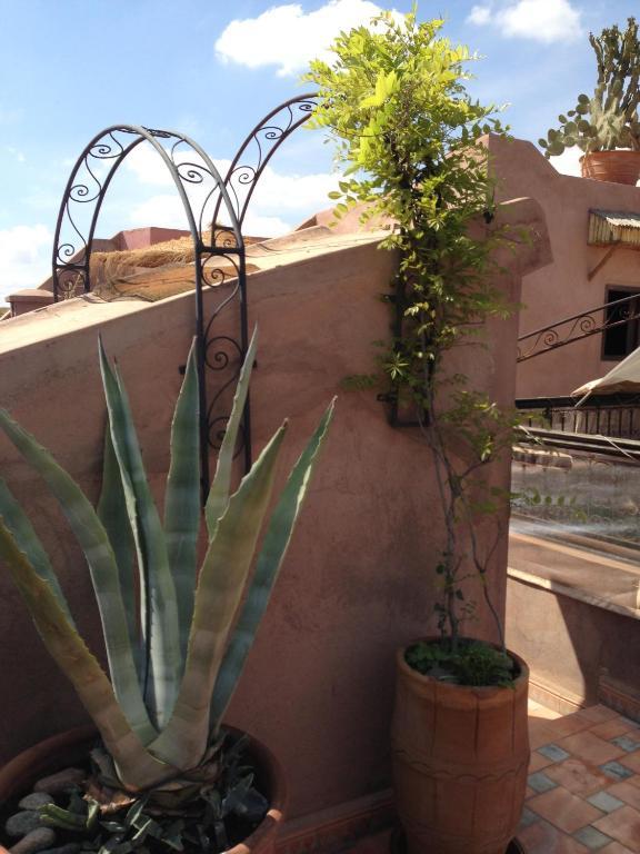Riad Mehdia Marrakesh