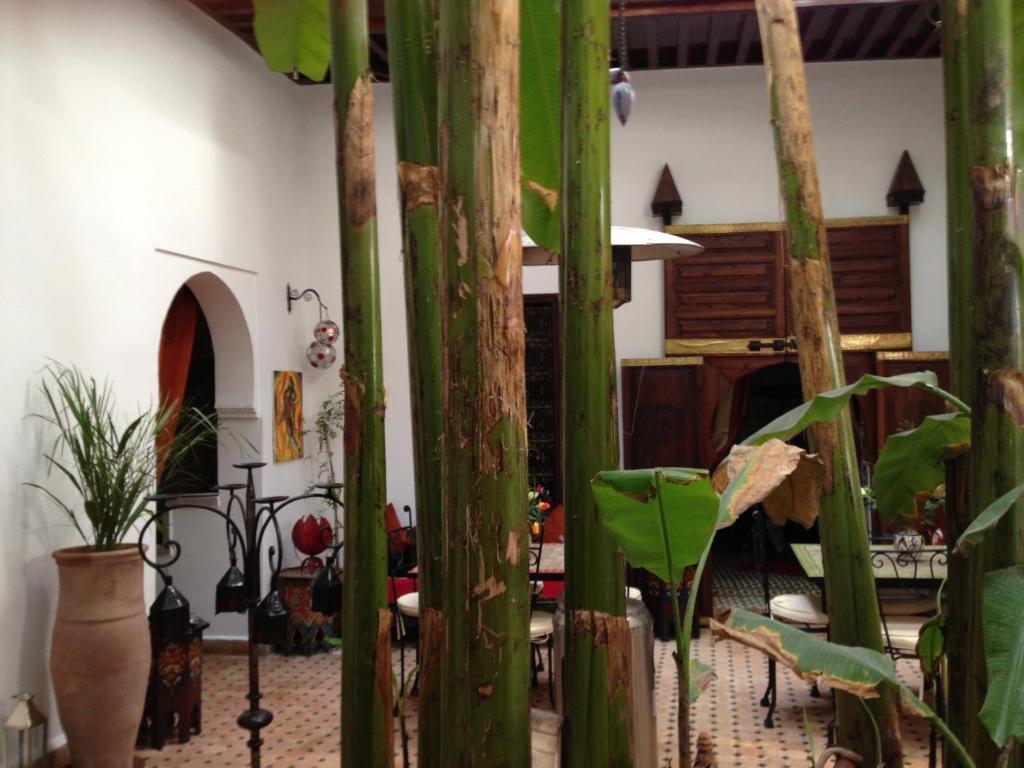 Riad Mehdia