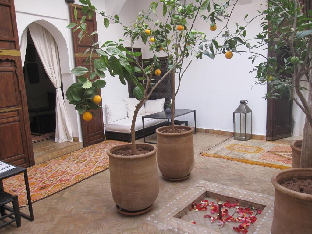Azza Riad 4*