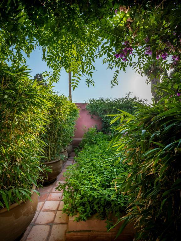 Oasis 3