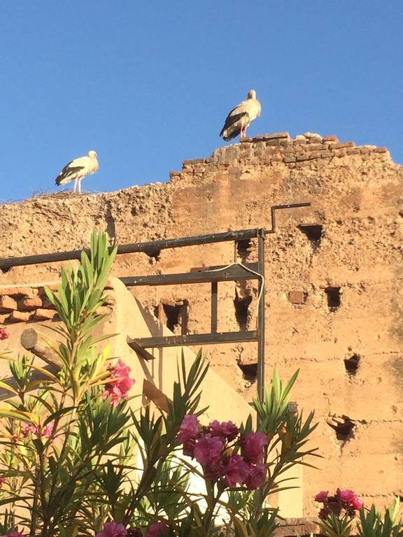 Riad Carina