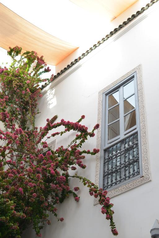 Riad Ariha