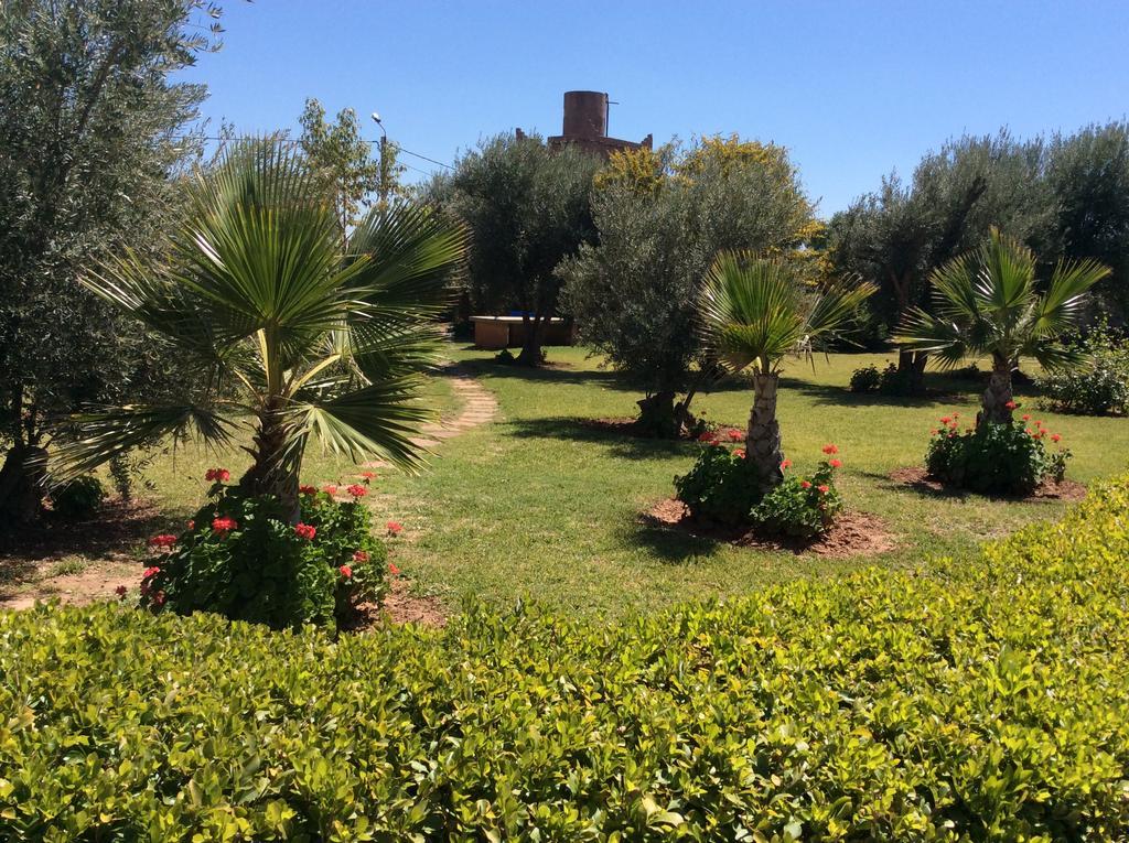 Tycoz Marrakesh