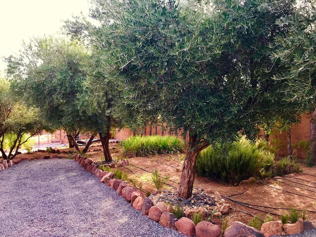 Malika Marrakech Villa Marrakesh