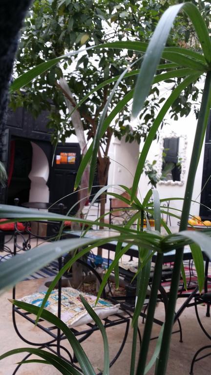 Riad Gaya