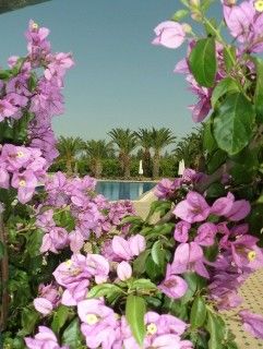 Domaine Tarik Apartment Marrakesh
