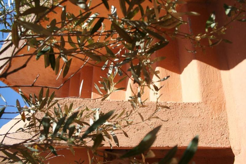 Dar Zitouna En Exclusivite Holiday home