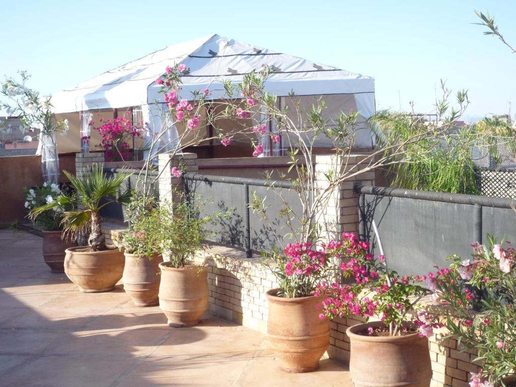Azenzer Riad