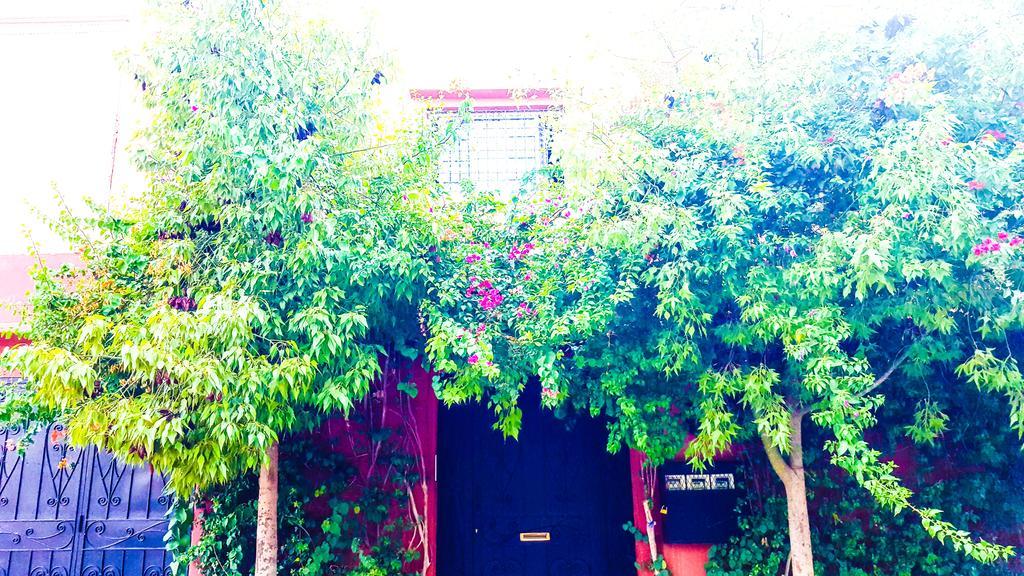 Séjour chez l'habitant Annakhil Marrakesh