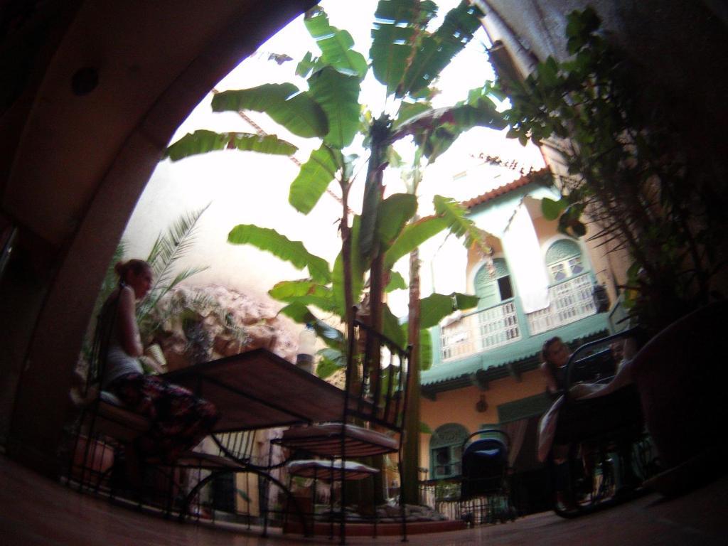 Dar Mchicha Riad
