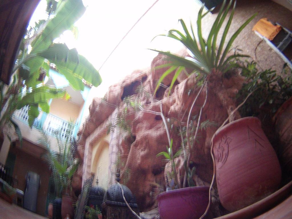 Dar Mchicha 3* Marrakesh