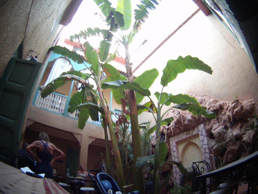 Dar Mchicha Riad Marrakesh