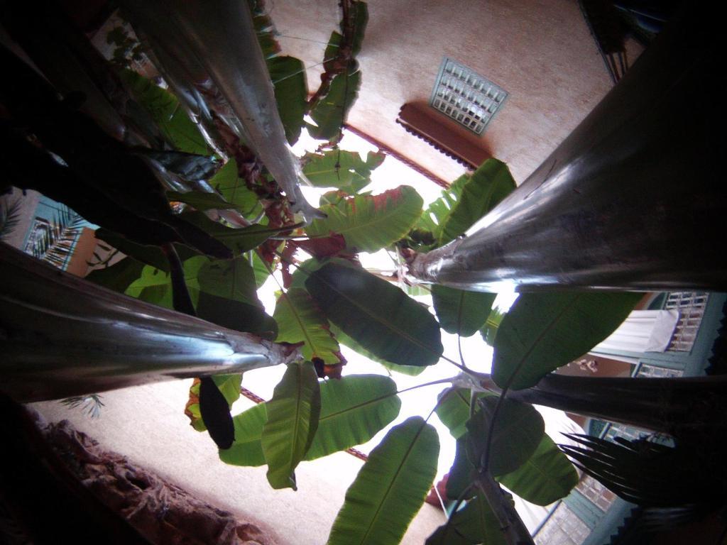 Dar Mchicha Riad 3*