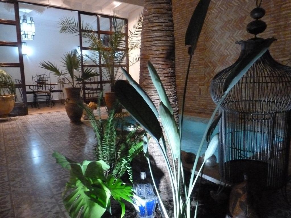 Safina Guest house