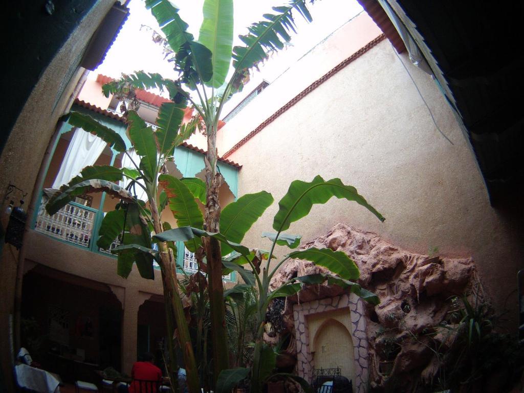Dar Mchicha Riad Marrakesh