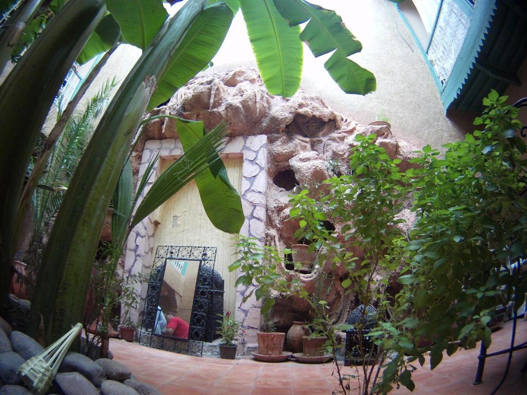 Dar Mchicha Riad