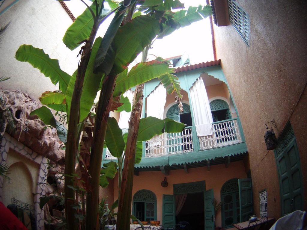 Dar Mchicha Riad 3*