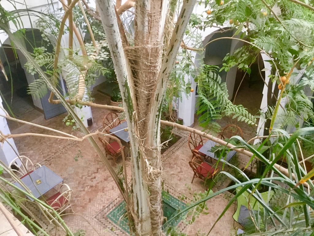 Riad Dar Binebine