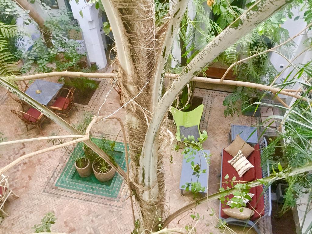 Riad Dar Binebine Marrakesh