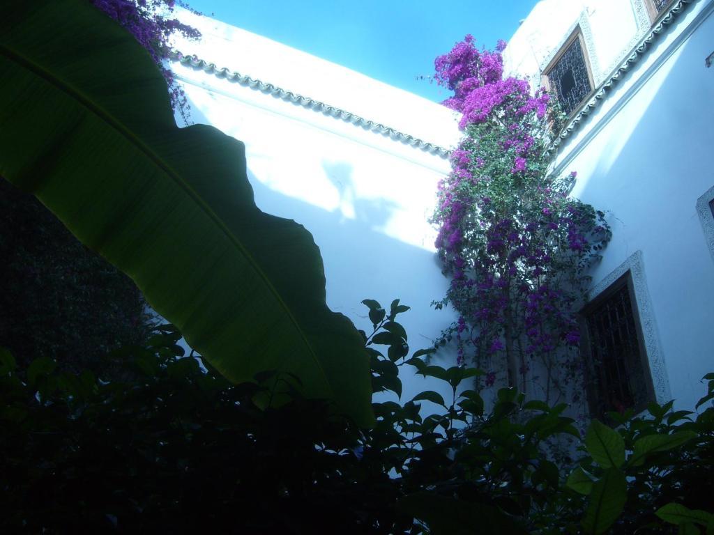Jenaï L'authentique Riad Marrakesh
