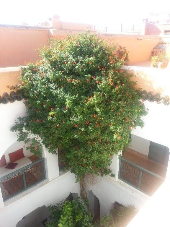 Dar El Kharaz Riad Marrakesh