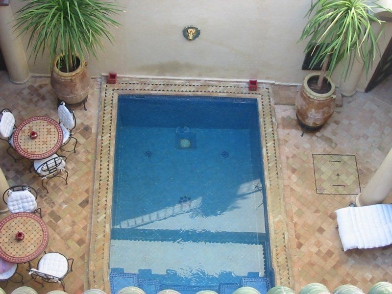 Eldar Riad