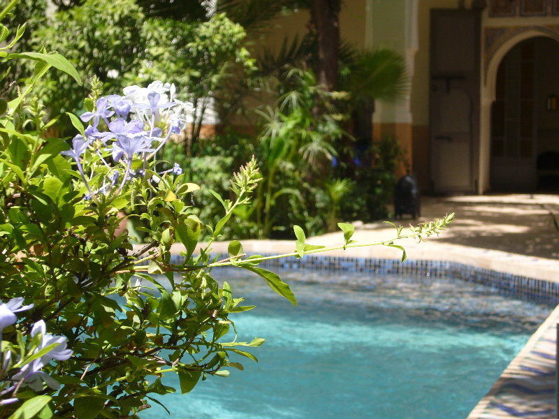 Riad Laila