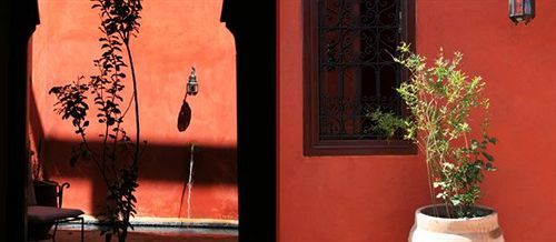 Honey Riad