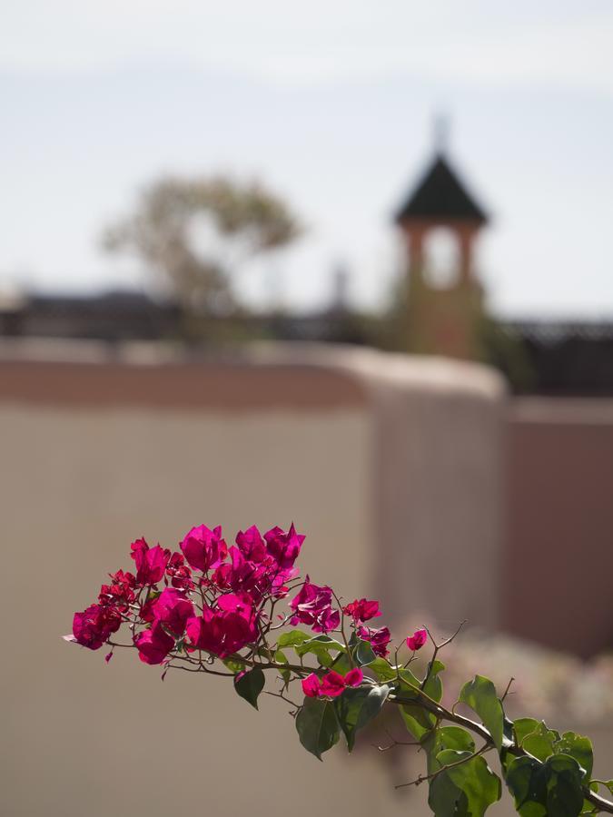Dar Andamaure Riad