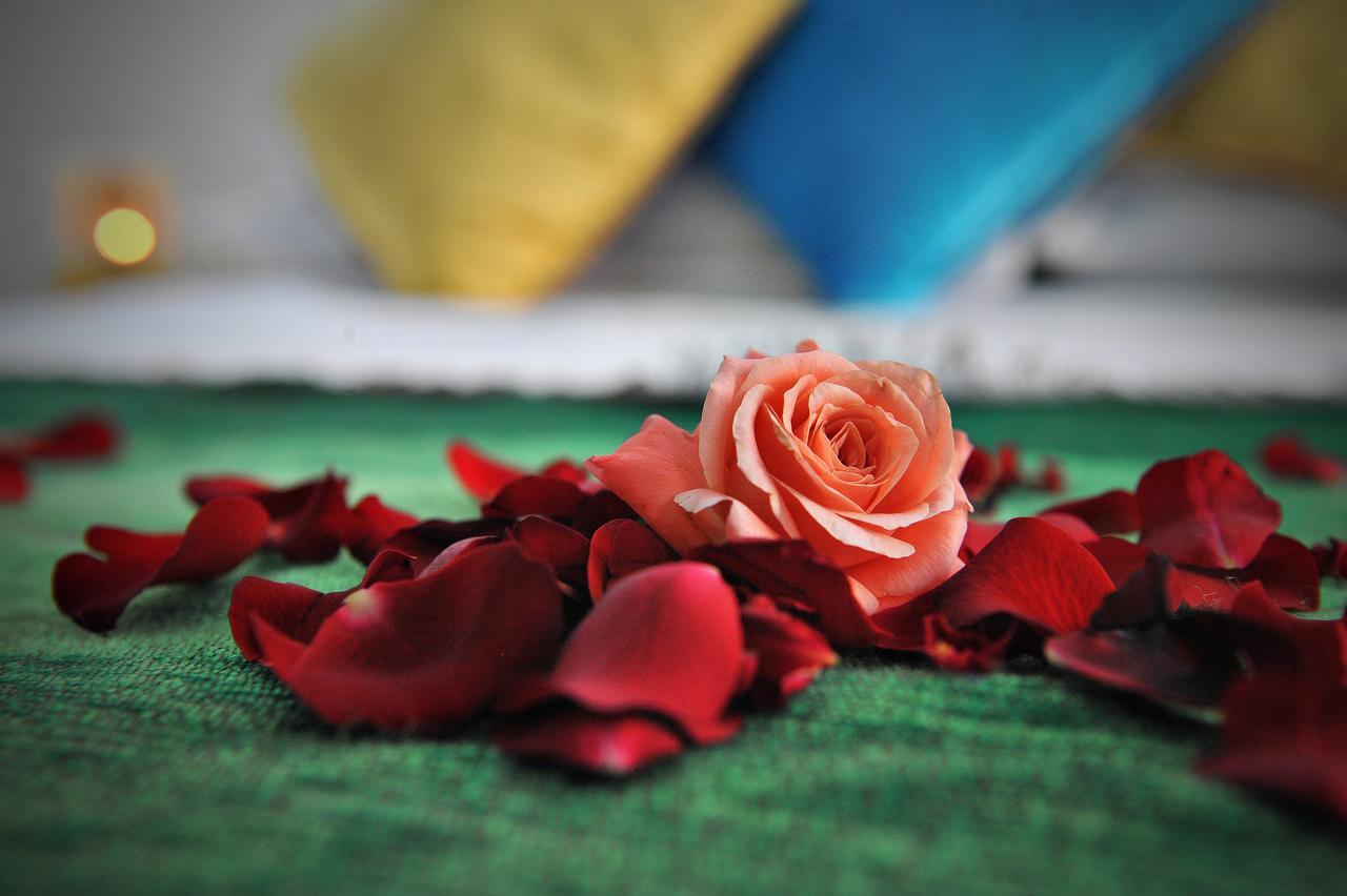 Dar Nossa Bed and breakfast 3*