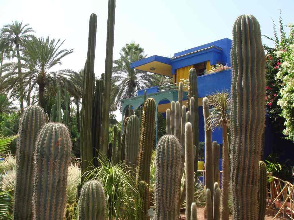 Avec Vue Jardin/majorelle