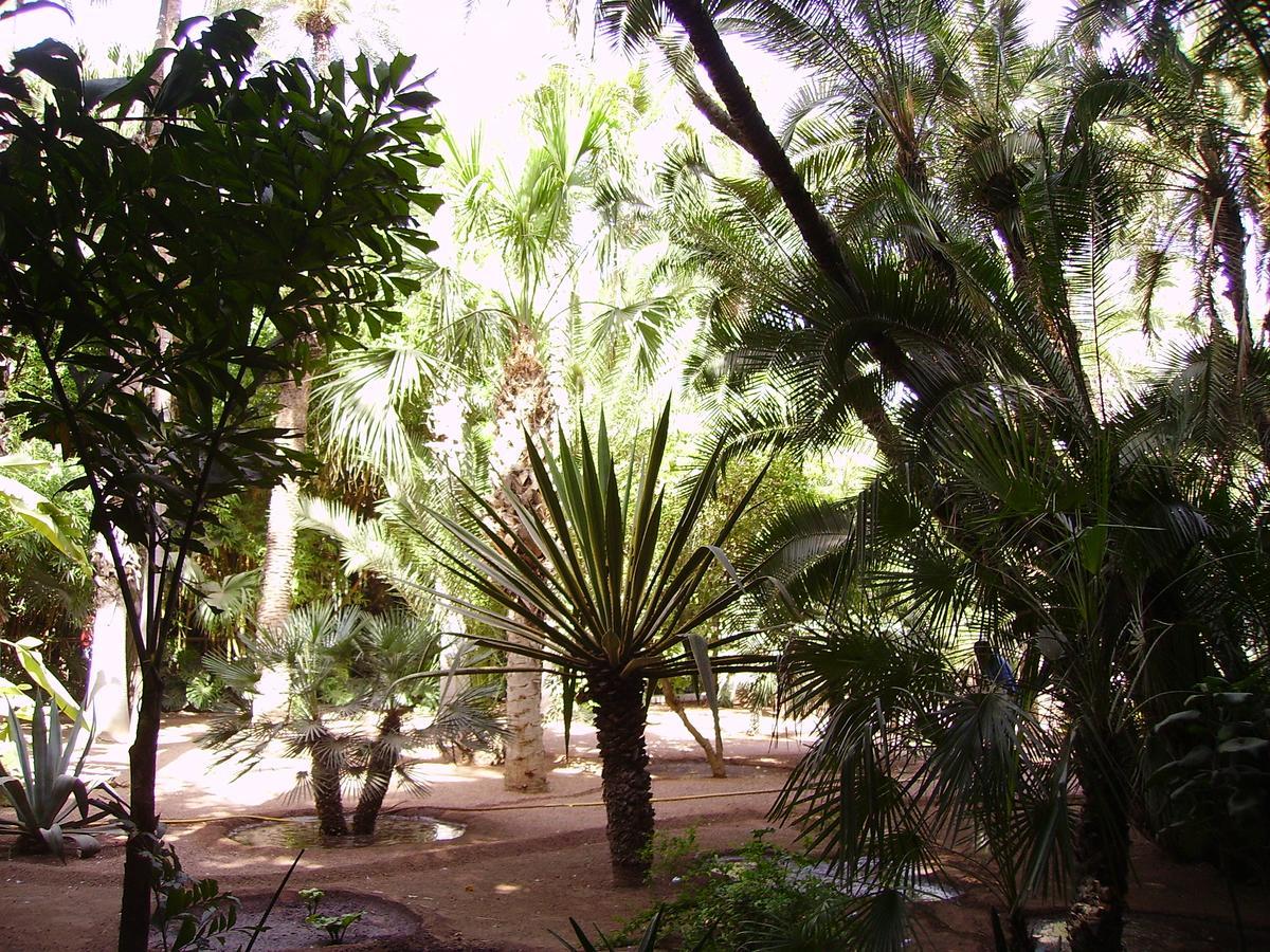 Avec Vue Jardin/majorelle Apartment Marrakesh