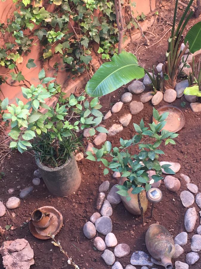 Apartamento Andalou