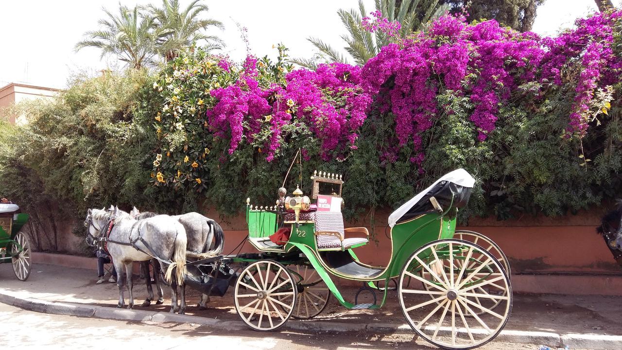Mirador De Majorelle, The Is Only For Families Apartment Marrakesh