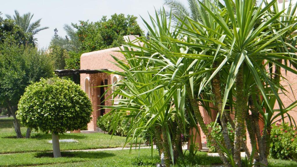 Resort Royal Decameron Issil 4*
