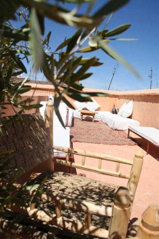 Dar Zitouna En Exclusivite *