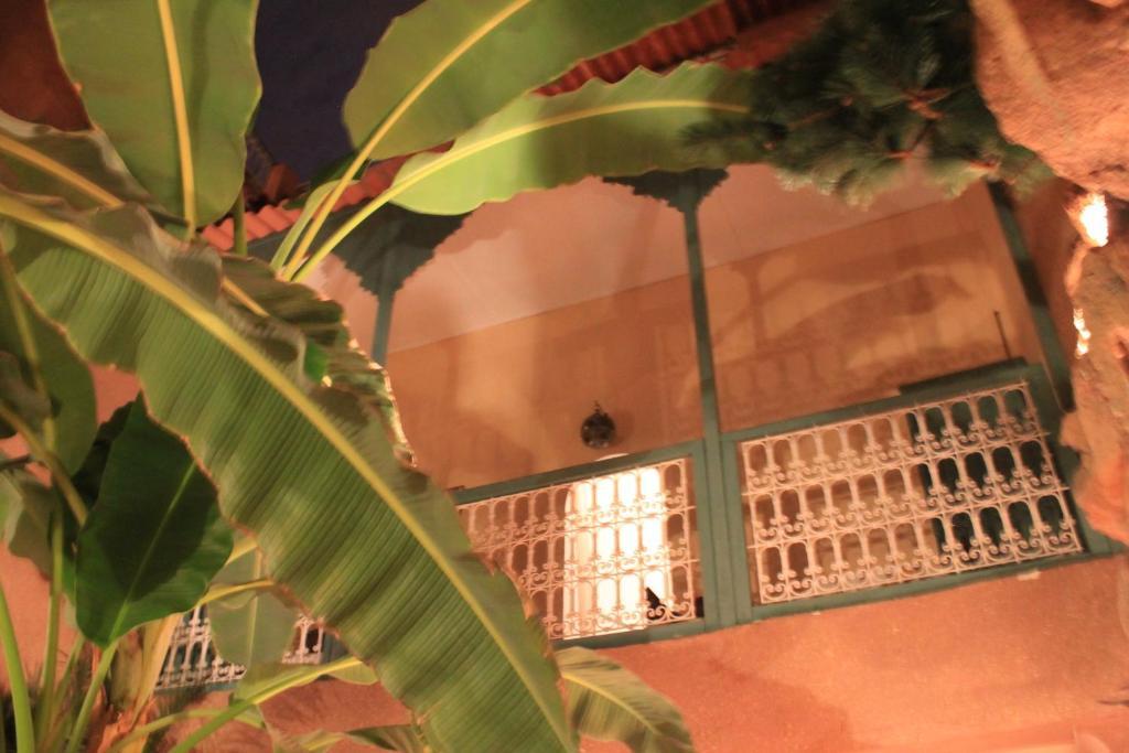 Dar Mchicha Marrakesh